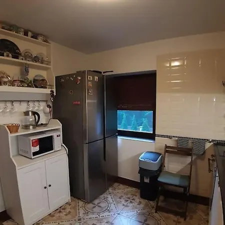 лесной нова *