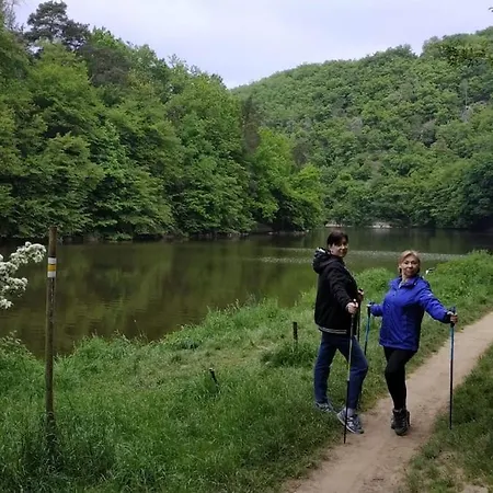 лесной нова Willa Zivohost