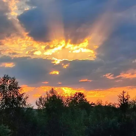 Βίλα лесной нова *