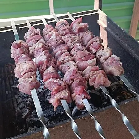 лесной нова