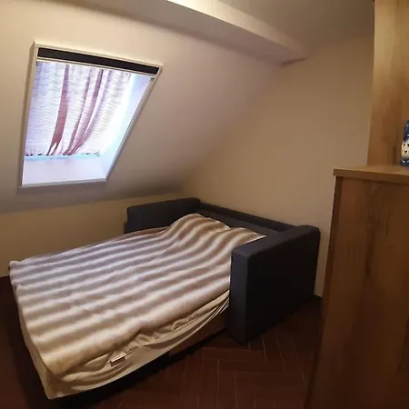 Βίλα лесной нова