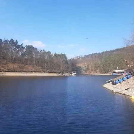 лесной нова *