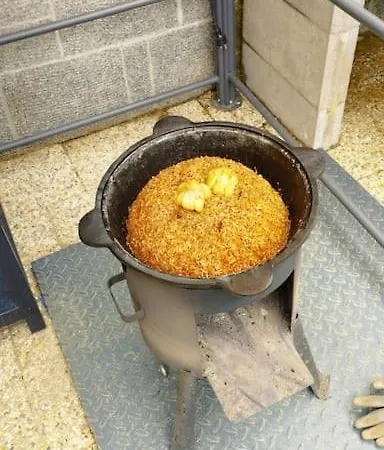 лесной нова * Zivohost