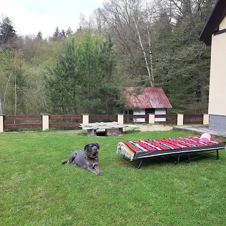 лесной нова