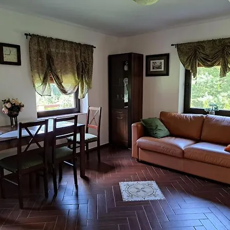 лесной нова *