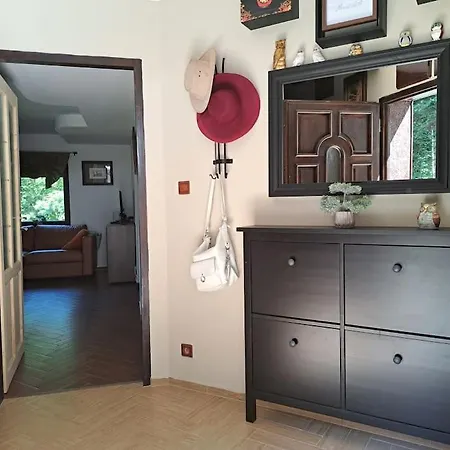 лесной нова