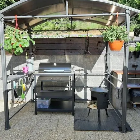 Willa лесной нова *