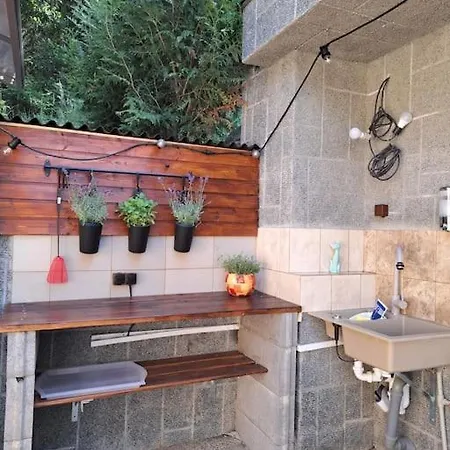 лесной нова *