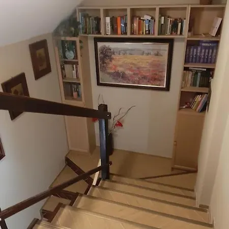 лесной нова Zivohost