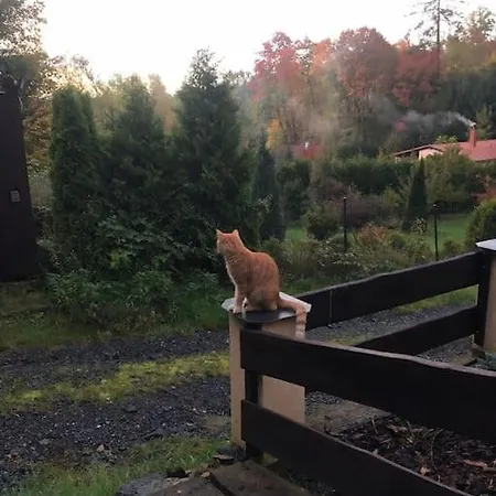 лесной нова * Zivohost