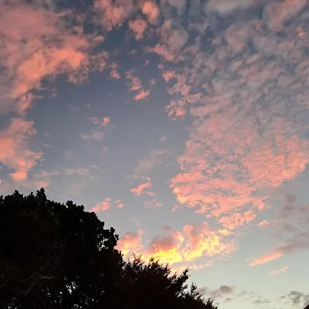 Βίλα лесной нова *