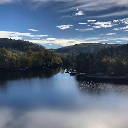 лесной нова