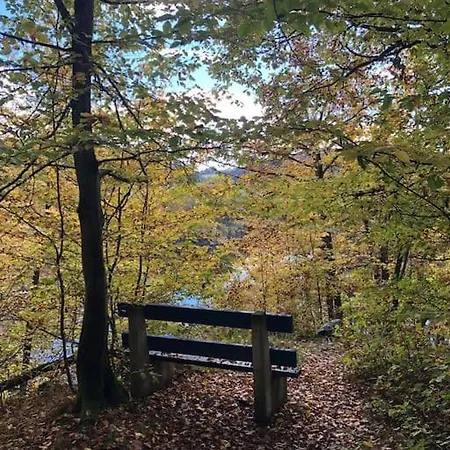 Willa лесной нова