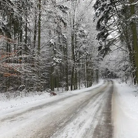 Willa лесной нова *