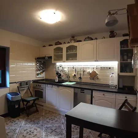 лесной нова