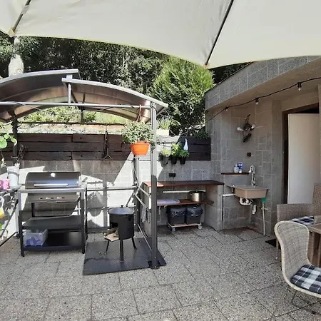 лесной нова Willa