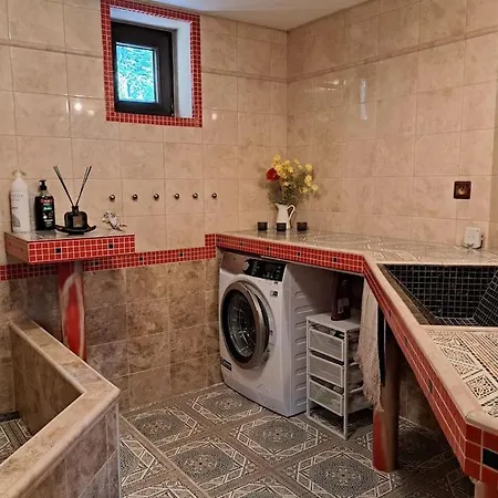 Βίλα лесной нова *