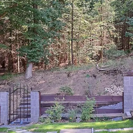 Βίλα лесной нова