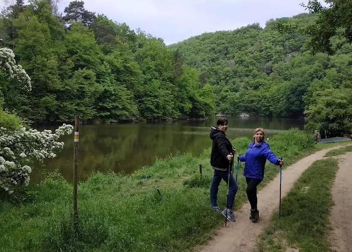 лесной нова Villa Zivohost