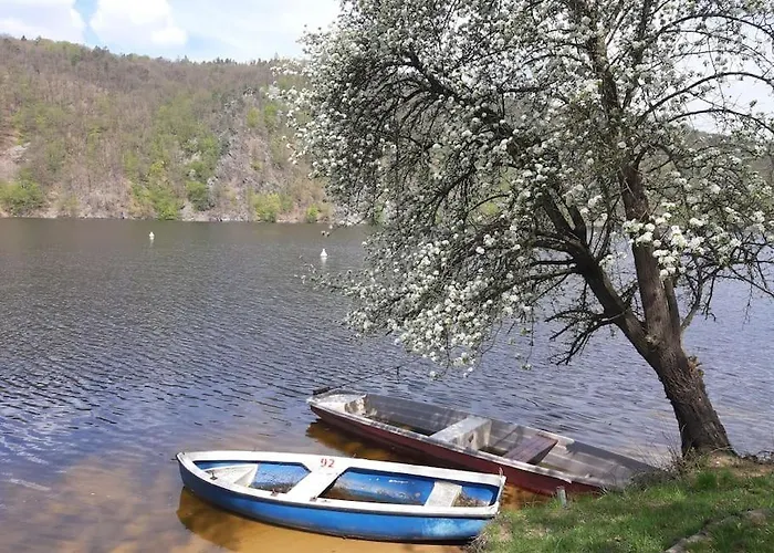 лесной нова Villa