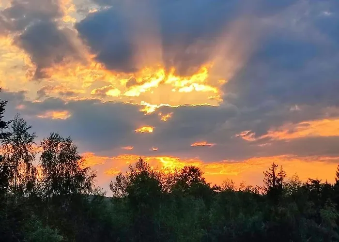 Villa лесной нова *