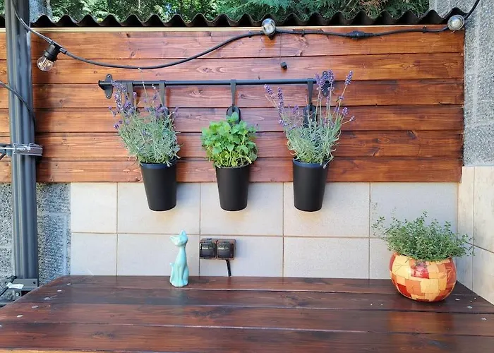 Villa лесной нова Zivohost