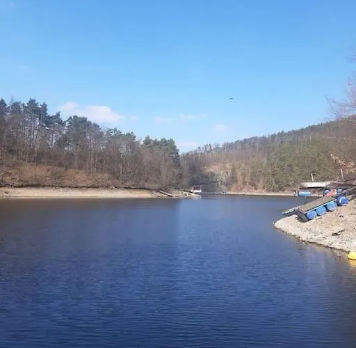 лесной нова *