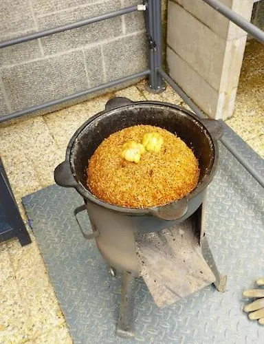 лесной нова * Zivohost