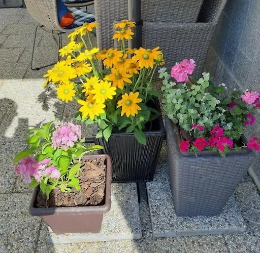 Villa лесной нова