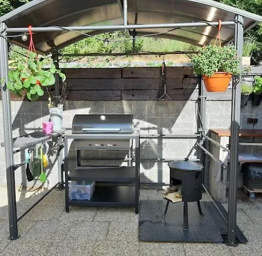 Villa лесной нова *