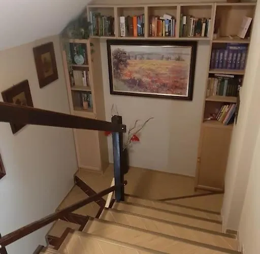 лесной нова Zivohost