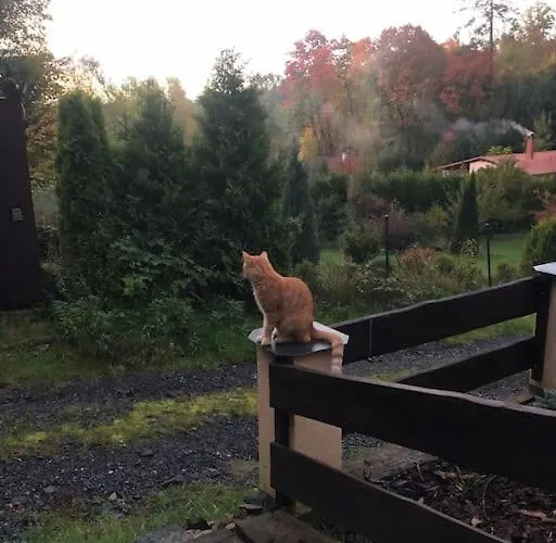 лесной нова * Zivohost