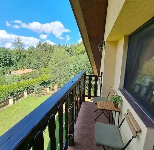 Villa лесной нова