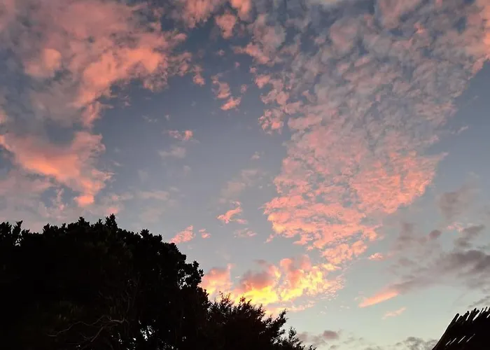 Villa лесной нова *