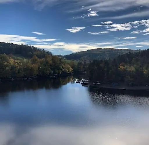 лесной нова