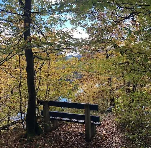 Villa лесной нова