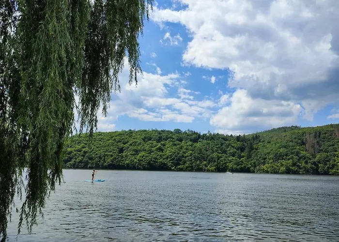 лесной нова * Zivohost