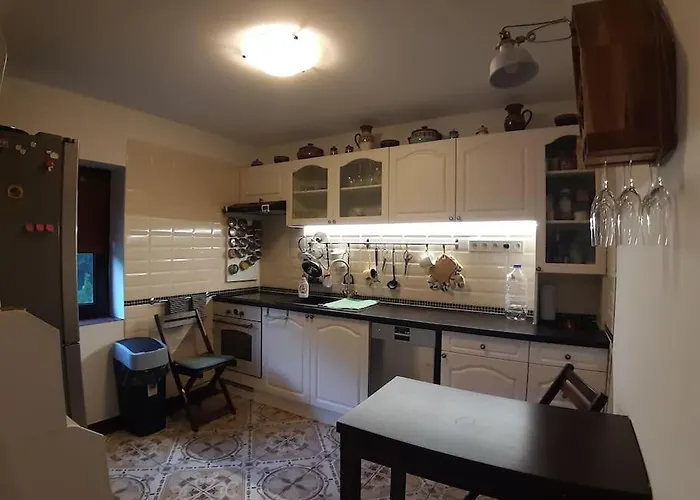 лесной нова