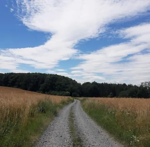 лесной нова Villa *