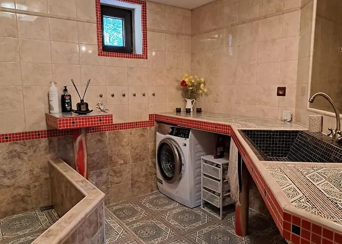 Villa лесной нова *