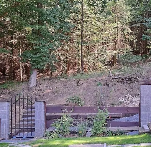 Villa лесной нова